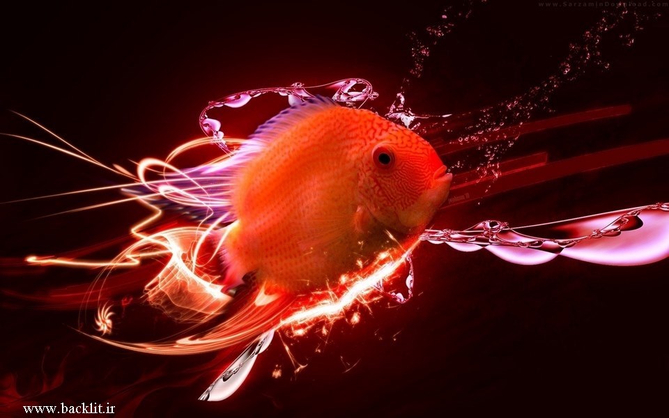 7505